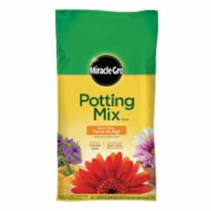 Bag of Potting Mix