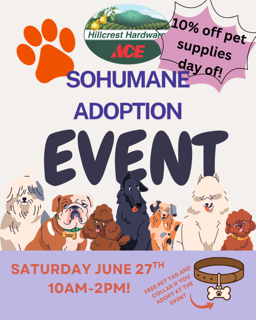 Pet Adoption Event